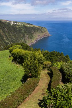 Azores Portekiz 'in güzel manzaraları. Sao Miguel Adası, Azores 'te tropikal doğa