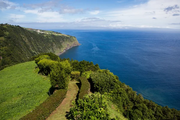 Gyönyörű Táj Táj Azori Szigeteken Portugália Trópusi Természet Sao Miguel — Stock Fotó