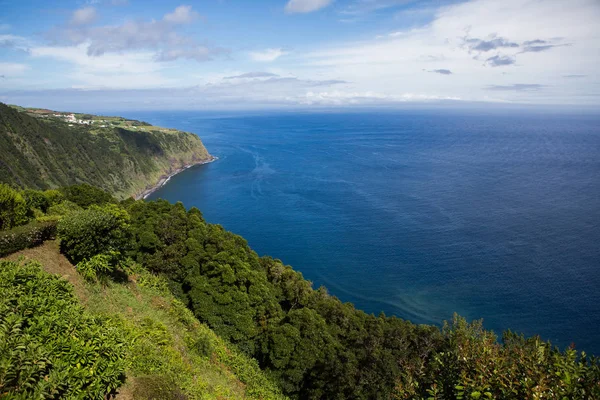 Azores Portekiz Güzel Manzaraları Sao Miguel Adası Azores Tropikal Doğa — Stok fotoğraf