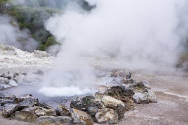 Azores Portekiz 'in güzel manzaraları. Sao Miguel Adası, Azores 'te tropikal doğa