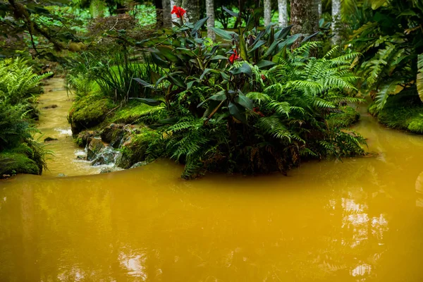 Hermosos Paisajes Azores Portugal Naturaleza Tropical Isla Sao Miguel Azores — Foto de Stock