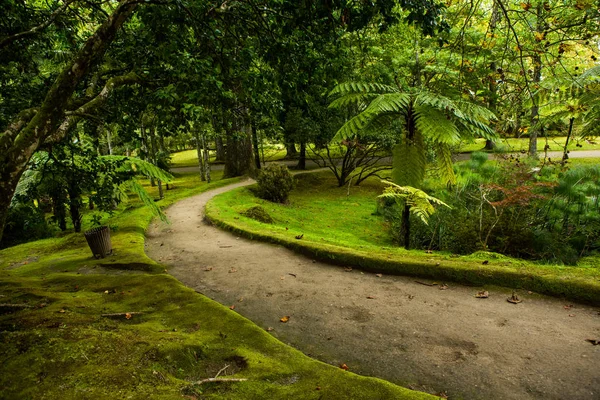 Hermosos Paisajes Azores Portugal Naturaleza Tropical Isla Sao Miguel Azores — Foto de Stock