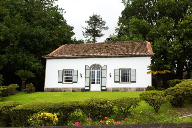 Azores Portekiz 'in güzel manzaraları. Sao Miguel Adası, Azores 'te tropikal doğa. 