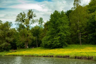 Moldova Cumhuriyeti 'nin güzel yaz manzarası. Yeşil manzara. Bahar doğası. Yeşil Çimenli ve Ağaçlı Park. Otlak arazisi ve yuvarlanan tepeler. kırsal manzara. 