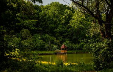 Moldova Cumhuriyeti 'nin güzel yaz manzarası. Yeşil manzara. Bahar doğası. Yeşil Çimenli ve Ağaçlı Park. Otlak arazisi ve yuvarlanan tepeler. kırsal manzara. 