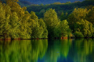 Moldova Cumhuriyeti 'nin güzel yaz manzarası. Yeşil manzara. Bahar doğası. Yeşil Çimenli ve Ağaçlı Park. Otlak arazisi ve yuvarlanan tepeler. kırsal manzara. 