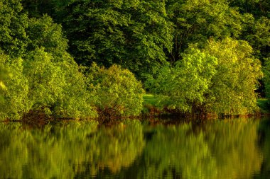 Moldova Cumhuriyeti 'nin güzel yaz manzarası. Yeşil manzara. Bahar doğası. Yeşil Çimenli ve Ağaçlı Park. Otlak arazisi ve yuvarlanan tepeler. kırsal manzara. 