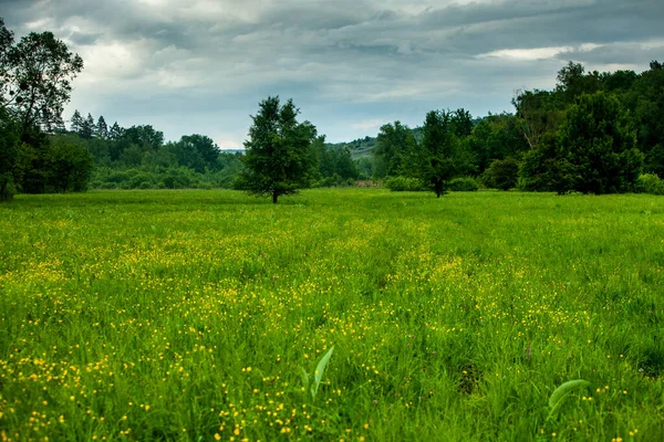 Beau Paysage Estival République Moldavie Paysage Vert Spring Nature Parc — Photo