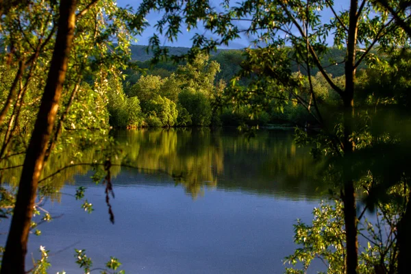 Hermoso Paisaje Verano República Moldavia Paisaje Verde Naturaleza Primavera Parque — Foto de Stock