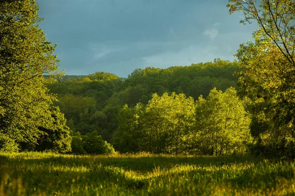 Beau Paysage Estival République Moldavie Paysage Vert Spring Nature Parc — Photo