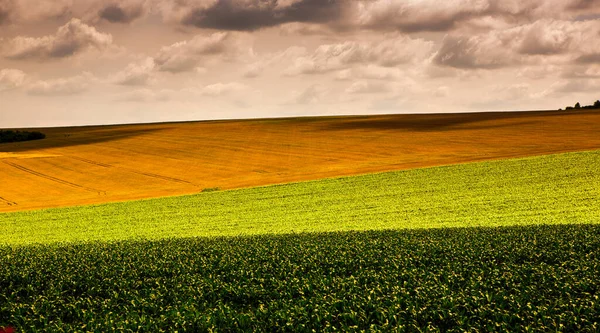 Schöne Aussicht Auf Hügel Und Felder Moldawien Sommerlandschaft Mit Einem — Stockfoto
