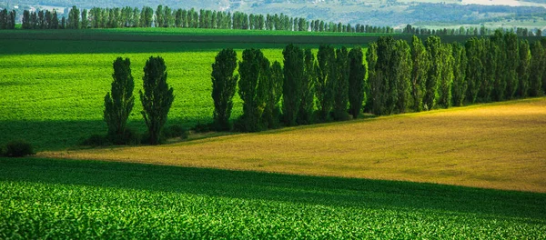 Beautiful Panoram Hills Fields Moldova Summer Landscape Field Ripe Wheat — Stock Photo, Image
