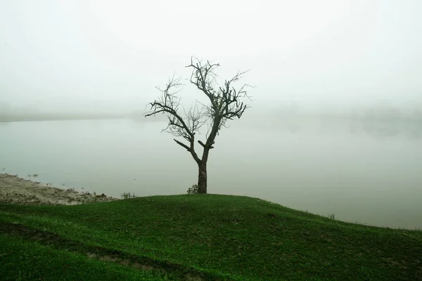 Beautiful Summer Landscape Republic Moldova Green Landscape Amazing Nature Park — Stock Photo, Image