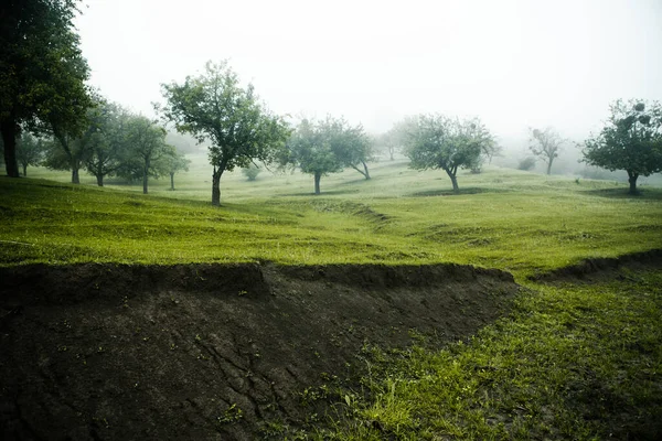 Όμορφο Καλοκαιρινό Τοπίο Στη Δημοκρατία Της Μολδαβίας Πράσινο Τοπίο Καταπληκτική — Φωτογραφία Αρχείου