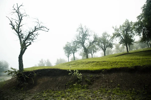 Beautiful Summer Landscape Republic Moldova Green Landscape Amazing Nature Park — Stock Photo, Image