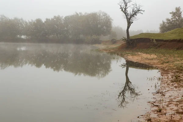 Bela Paisagem Verão República Moldávia Paisagem Verde Incrível Natureza Parque — Fotografia de Stock