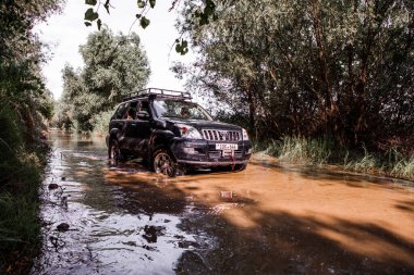 Otomobil Toyota Land Cruiser Prado 150. Safari SUv. 4x4 yolculuk gezisi. Ralli yarışı.