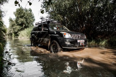 Otomobil Toyota Land Cruiser Prado 150. Safari SUv. 4x4 yolculuk gezisi. Ralli yarışı.
