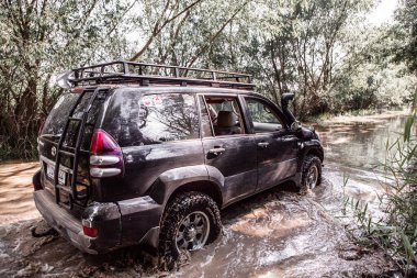 Otomobil Toyota Land Cruiser Prado 150. Safari SUv. 4x4 yolculuk gezisi. Ralli yarışı.