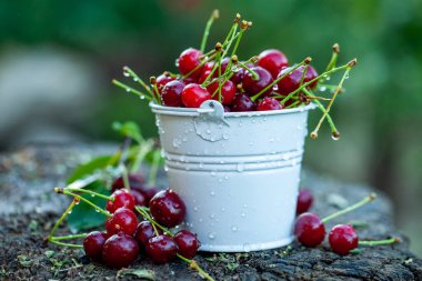 Taze kirazlar kasede. Olgun kırmızı kiraz yığınının yakın görüntüsü. Bahçede kırmızı meyveler.