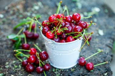 Taze kirazlar kasede. Olgun kırmızı kiraz yığınının yakın görüntüsü. Bahçede kırmızı meyveler.