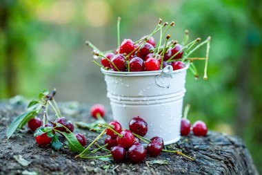Taze kirazlar kasede. Olgun kırmızı kiraz yığınının yakın görüntüsü. Bahçede kırmızı meyveler.