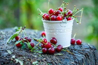 Taze kirazlar kasede. Olgun kırmızı kiraz yığınının yakın görüntüsü. Bahçede kırmızı meyveler.