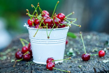 Taze kirazlar kasede. Olgun kırmızı kiraz yığınının yakın görüntüsü. Bahçede kırmızı meyveler.