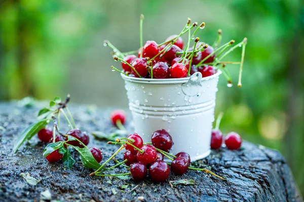 Cerejas Frescas Tigela Vista Perto Pilha Cerejas Maduras Vermelhas Frutos — Fotografia de Stock