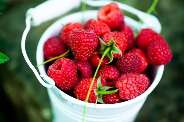 Fresh Raspberries Basket Berries Garden Organic Healthy Food Fruits — Stock Photo, Image