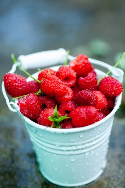 Fresh Raspberries Basket Berries Garden Organic Healthy Food Fruits — Stock Photo, Image