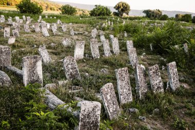 Moldova Cumhuriyeti 'ndeki ortaçağ Yahudi mezarlığındaki mezar taşları. Avrupa 'nın en büyük Yahudi mezarlıklarından biri.