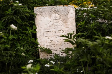 Moldova Cumhuriyeti 'ndeki ortaçağ Yahudi mezarlığındaki mezar taşları. Avrupa 'nın en büyük Yahudi mezarlıklarından biri.