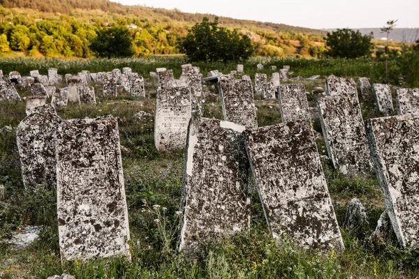 Pietre Tombali Nel Cimitero Ebraico Medievale Della Repubblica Moldova Uno — Foto Stock