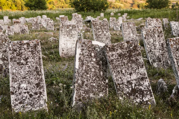 Надгробия Средневековом Еврейском Кладбище Республике Молдова Одно Крупнейших Еврейских Кладбищ — стоковое фото