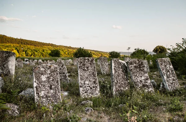 Pedras Tumulares Cemitério Judaico Medieval República Moldávia Dos Maiores Cemitérios — Fotografia de Stock