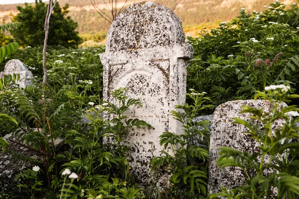 Tumbas Cementerio Judío Medieval República Moldavia Uno Los Cementerios Judíos — Foto de Stock