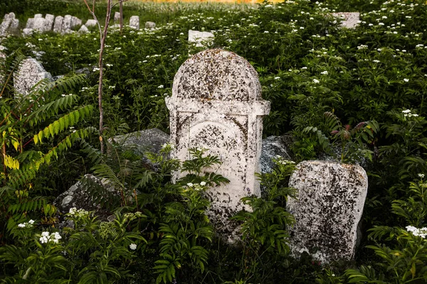 몰도바 공화국의 묘지에 묘비들 유럽에서 묘지중 — 스톡 사진