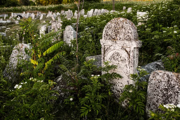 Pedras Tumulares Cemitério Judaico Medieval República Moldávia Dos Maiores Cemitérios — Fotografia de Stock