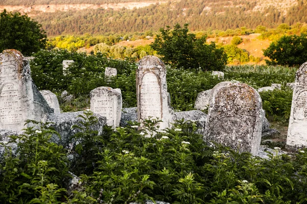 Pietre Tombali Nel Cimitero Ebraico Medievale Della Repubblica Moldova Uno — Foto Stock