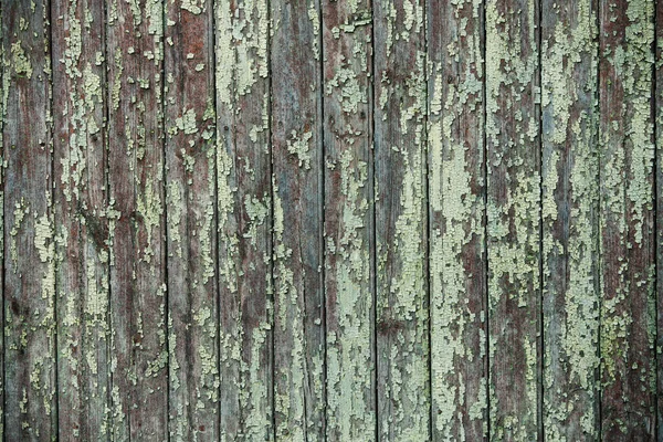 Vintage Colored Wood Background Texture Knots Nail Holes Old Painted — Stock Photo, Image