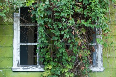 Terk edilmiş ev cephesi. Eski ahşap kapı. Büyük, eski kapıları olan eski bir duvar.