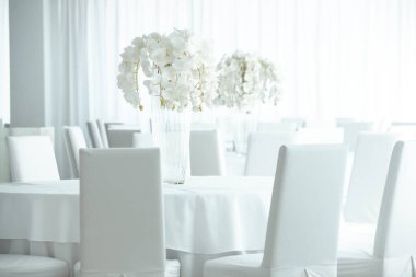 Boş restoranın lüks iç mimarisi. Boş sandalye ve oda içi fotoğraf. Beyaz restoranın içi..