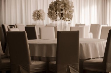 Boş restoranın lüks iç mimarisi. Boş sandalye ve oda içi fotoğraf. Beyaz restoranın içi..