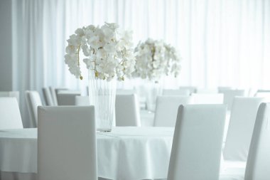 Boş restoranın lüks iç mimarisi. Boş sandalye ve oda içi fotoğraf. Beyaz restoranın içi..