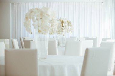 Boş restoranın lüks iç mimarisi. Boş sandalye ve oda içi fotoğraf. Beyaz restoranın içi..