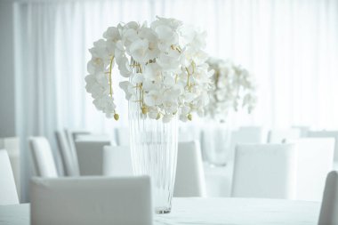 Boş restoranın lüks iç mimarisi. Boş sandalye ve oda içi fotoğraf. Beyaz restoranın içi..