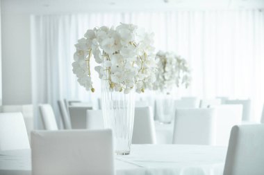 Boş restoranın lüks iç mimarisi. Boş sandalye ve oda içi fotoğraf. Beyaz restoranın içi..