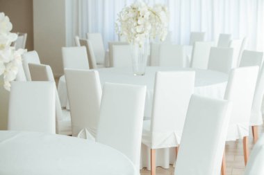 Boş restoranın lüks iç mimarisi. Boş sandalye ve oda içi fotoğraf. Beyaz restoranın içi..