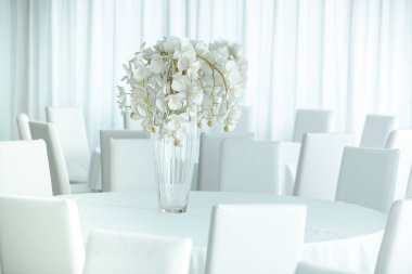 Boş restoranın lüks iç mimarisi. Boş sandalye ve oda içi fotoğraf. Beyaz restoranın içi..